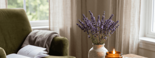 Beneficiile lavandei în aromaterapie – relaxare, somn și stare de bine